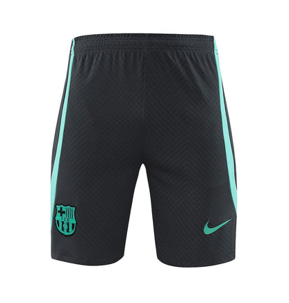 Camisa de treino adulto Barcelona 2023/24 + short 418