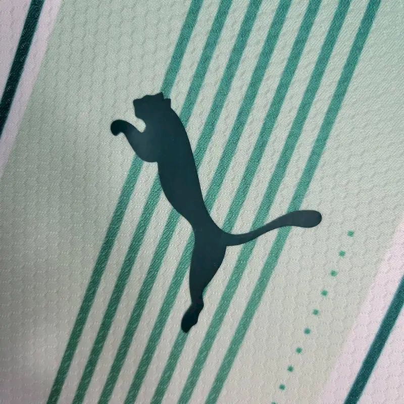 Men's Palmeiras 2023/24 Away Long Sleeve Jersey