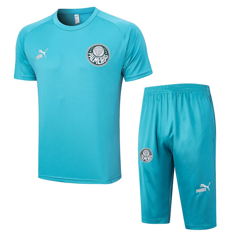 Palmeiras 2023/24 Camisa Adulto Treino+Curto 3/4 815