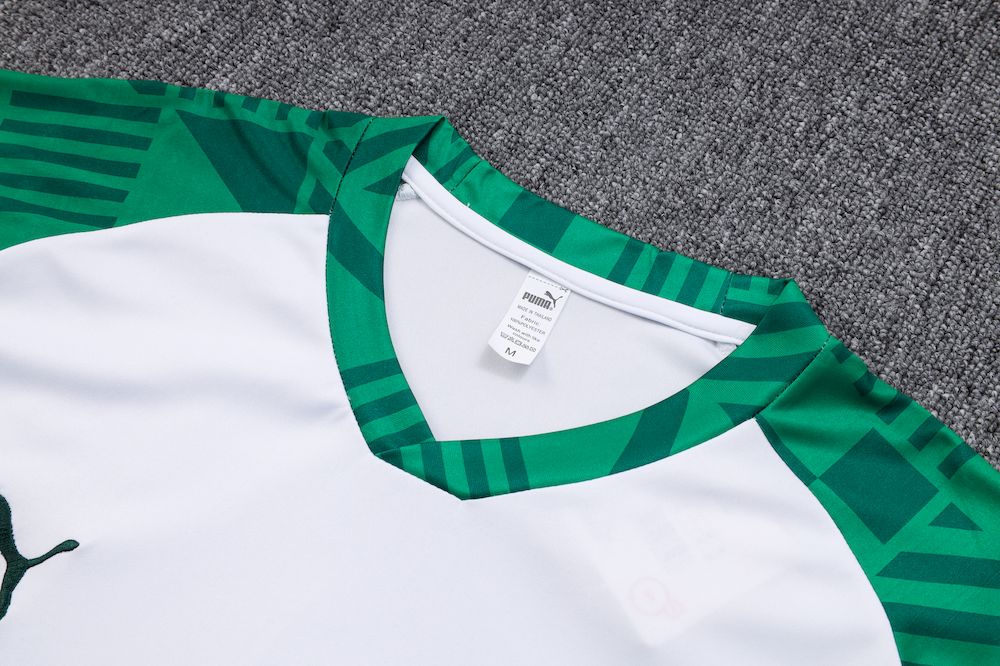 Camisa e Calça Palmeiras Treino 2023/24 Adulto 815