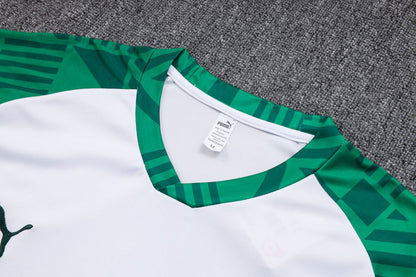 Camisa e Calça Palmeiras Treino 2023/24 Adulto 815