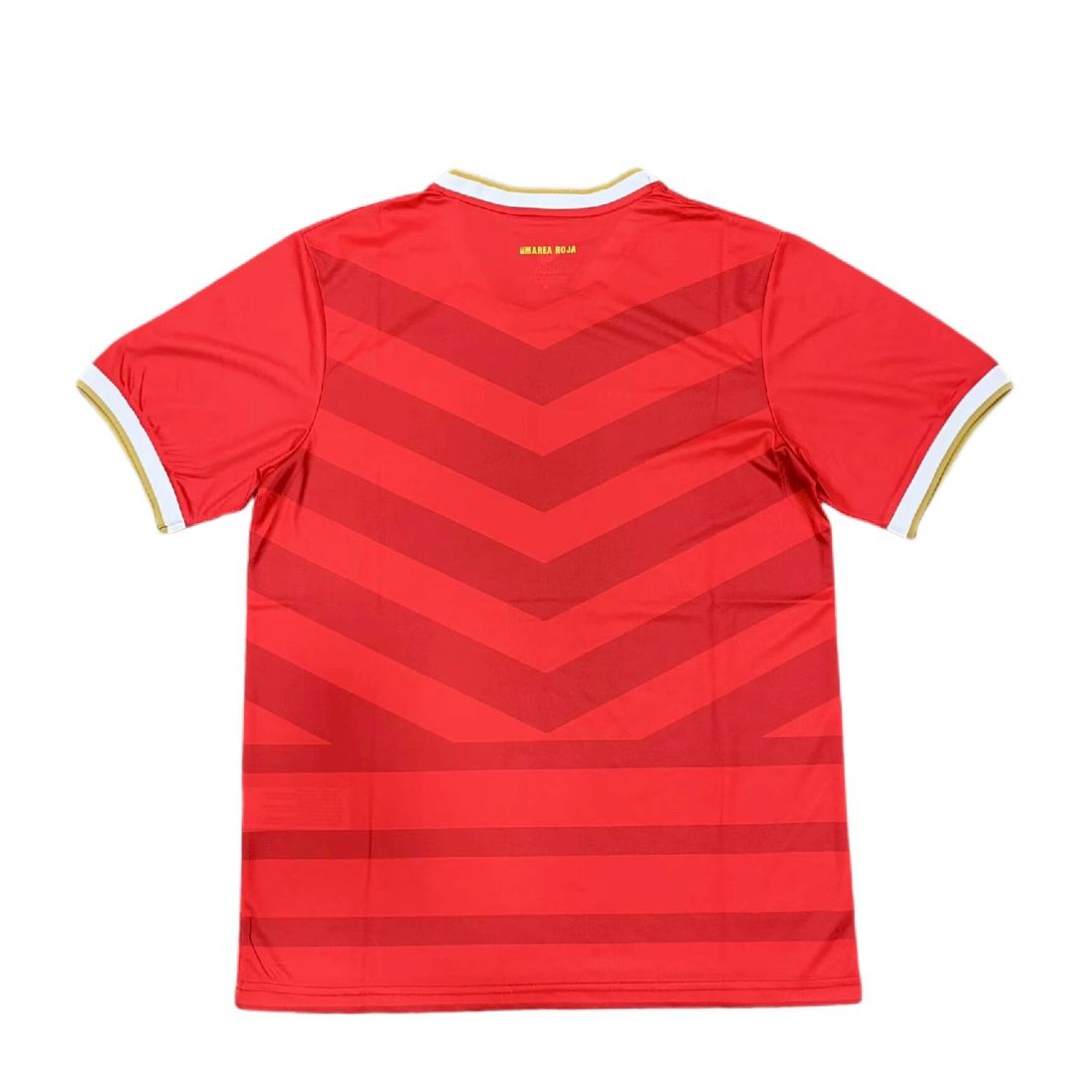 Men's Panama 2024/25 Commemorative Edition Jersey