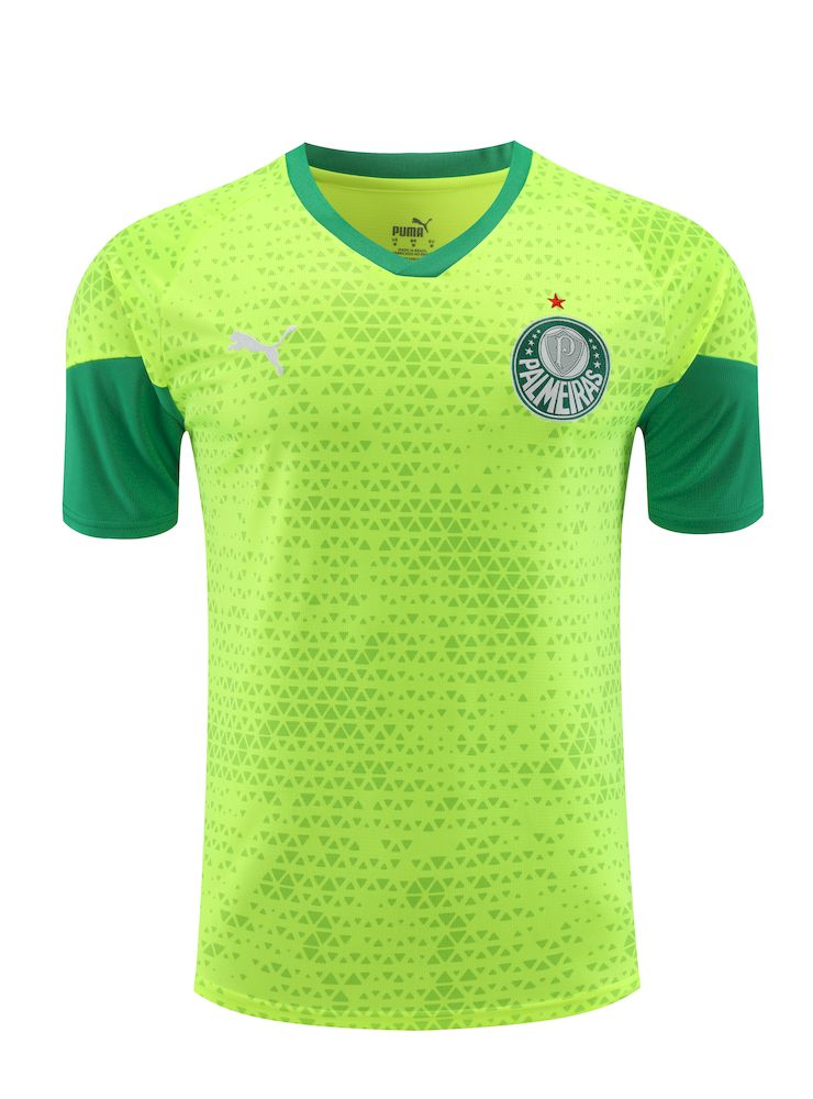 Palmeiras 2024/25 Camisa+Curto Adulto Treinamento 2024/25 418