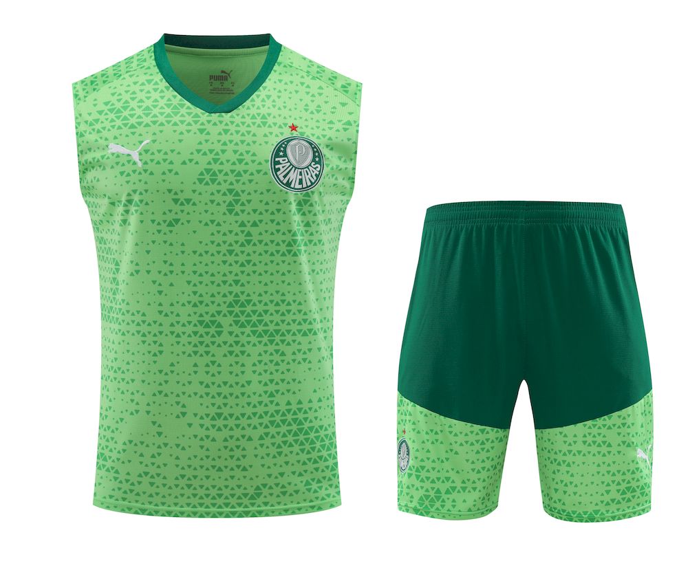 Palmeiras 2024/25 Regata Adulto+Curto 418