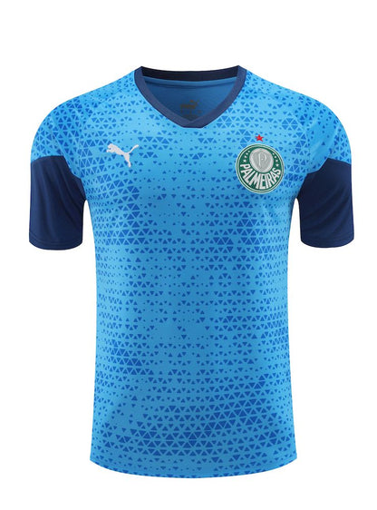 Palmeiras 2024/25 Training Adult Jersey+Short 418