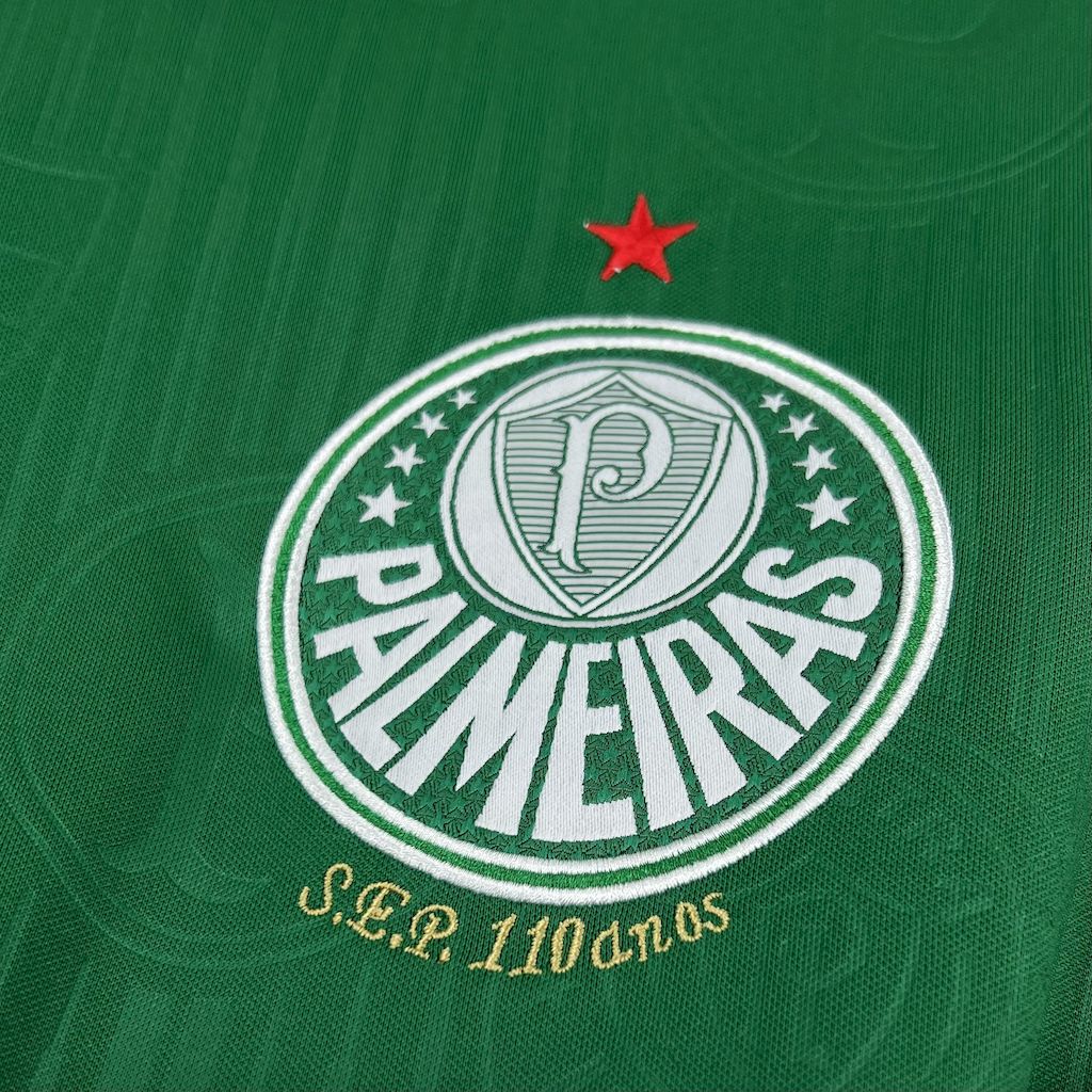 Men's Palmeiras 2023/24 X STUSSY Jersey