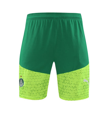 Palmeiras 2024/25 Camisa+Curto Adulto Treinamento 2024/25 418