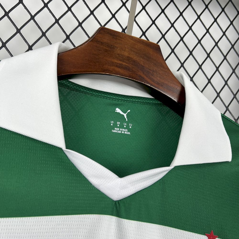 Men's Palmeiras 2025/26 Special Jersey