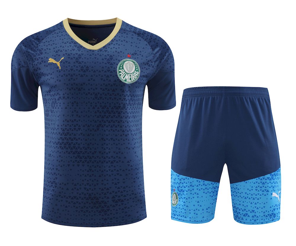 Palmeiras 2024/25 Camisa+Curto Adulto Treinamento 2024/25 418