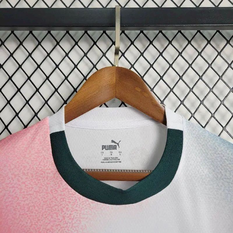 Men's Palmeiras 2023/24 Commemorative Edition Jersey