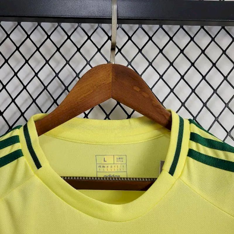 Men's Wales 2024/25 Home Jersey