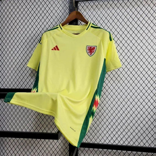 Men's Wales 2024/25 Home Jersey