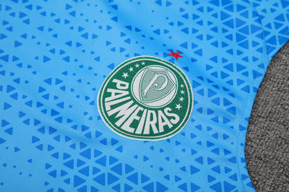 Palmeiras 2024/25 Regata Adulto+Curto 418