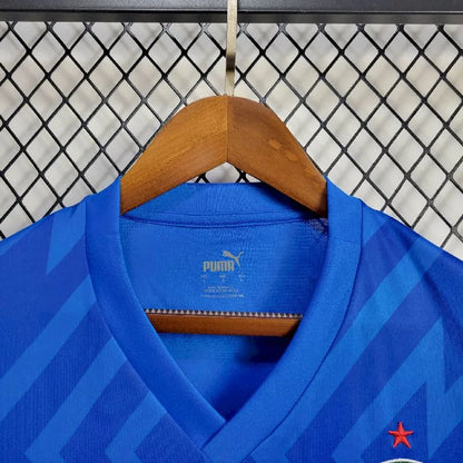 Camisa Goleiro Palmeiras 2024/25