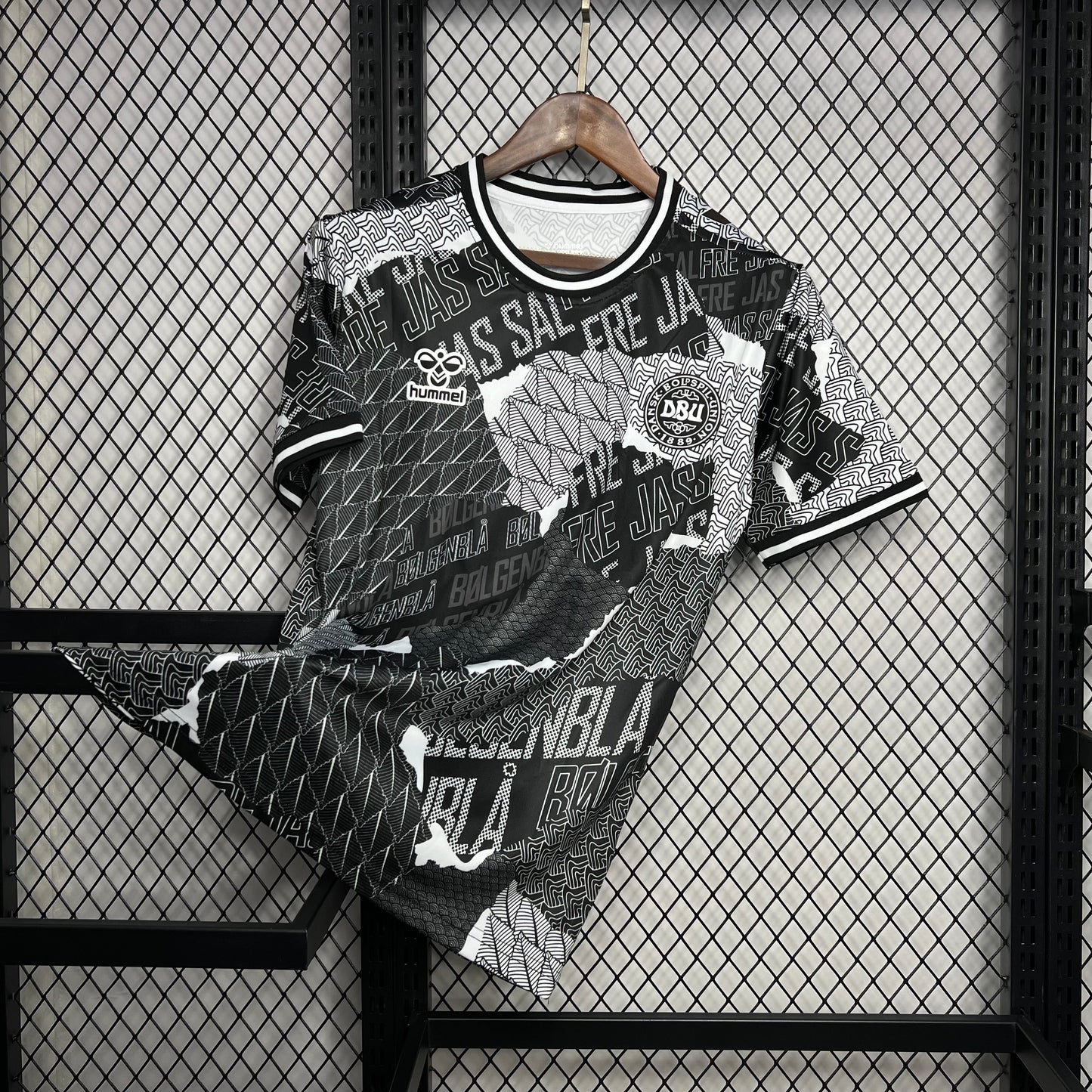 Men's Denmark 2024/25 Pre-Match Jersey