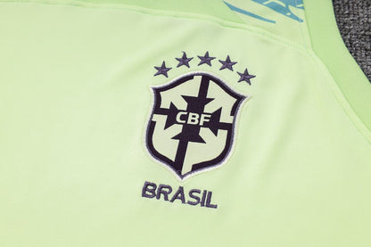 Regata e Shorts Adulto Brasil 2023/24 815
