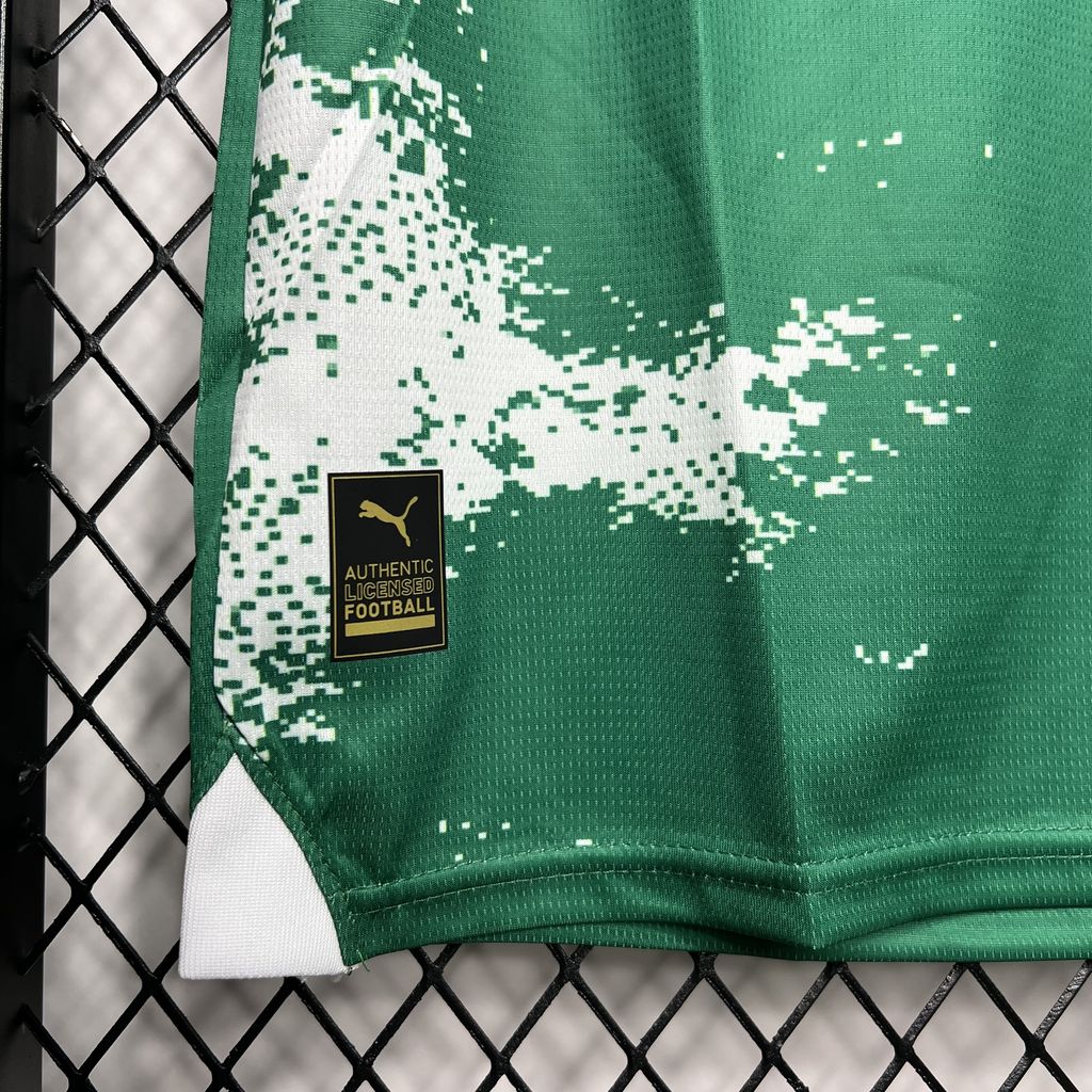 Men's Palmeiras 2024/25 Green and white Jersey