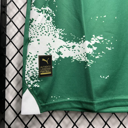 Men's Palmeiras 2024/25 Green and white Jersey