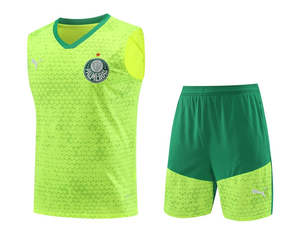 Palmeiras 2024/25 Regata Adulto+Curto 418