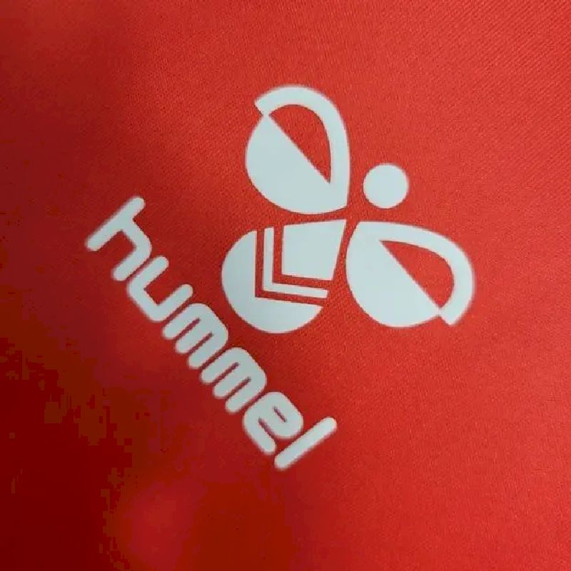 Men's Denmark 2023/24 Home Jersey