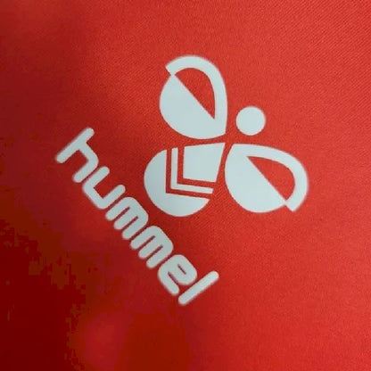 Men's Denmark 2023/24 Home Jersey