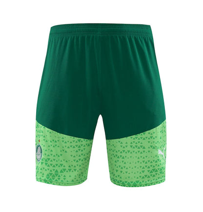Palmeiras 2024/25 Camisa+Curto Adulto Treinamento 2024/25 418