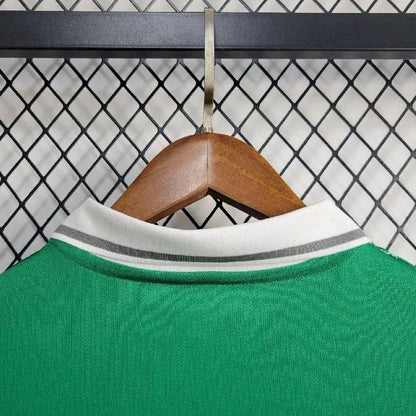 Men's Nigeria 2024/25 Green Jersey