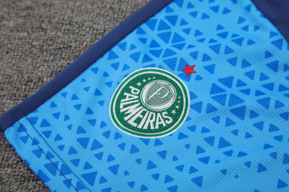 Palmeiras 2024/25 Regata Adulto+Curto 418
