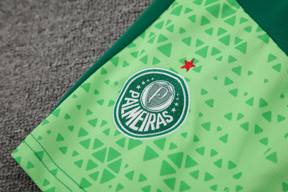 Palmeiras 2024/25 Regata Adulto+Curto 418