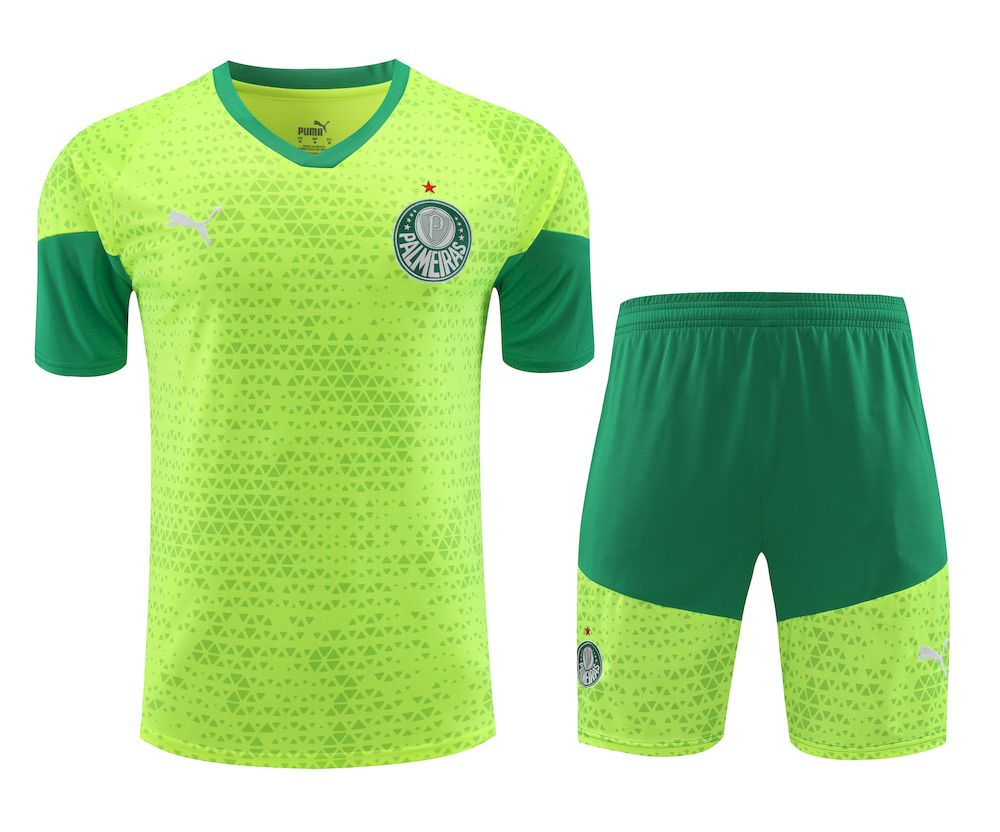 Palmeiras 2024/25 Camisa+Curto Adulto Treinamento 2024/25 418