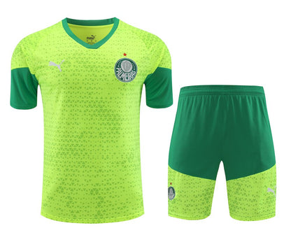 Palmeiras 2024/25 Camisa+Curto Adulto Treinamento 2024/25 418