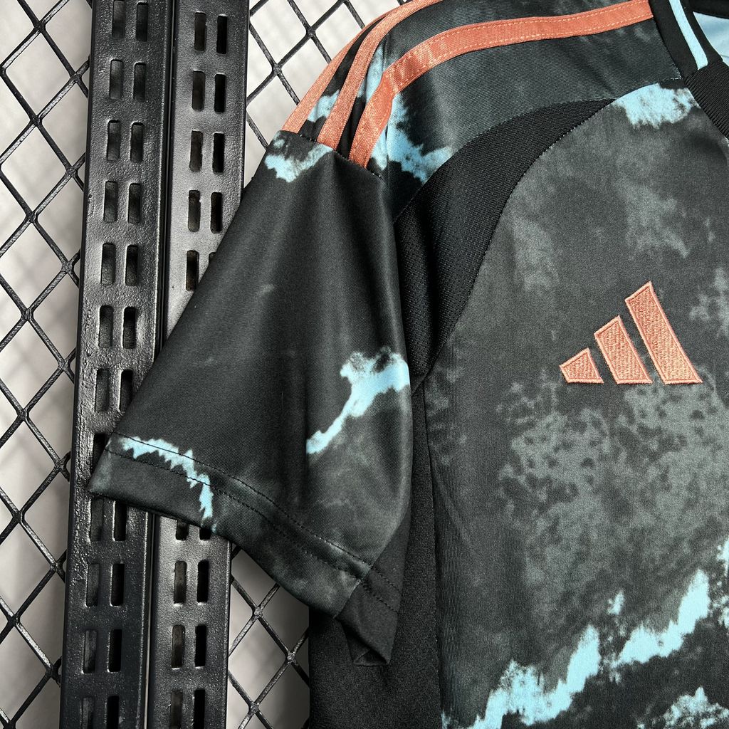 Bayern Munich 2024/25 Away Jersey