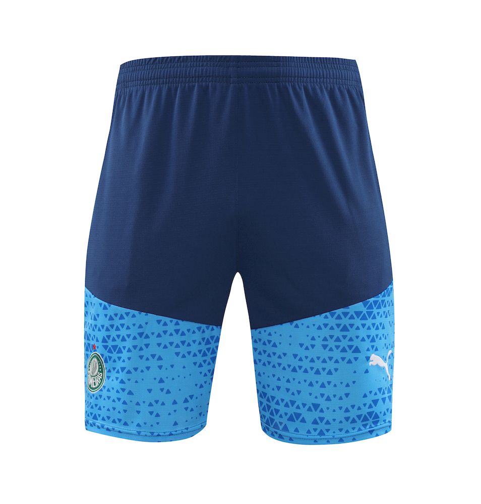 Palmeiras 2024/25 Camisa+Curto Adulto Treinamento 2024/25 418
