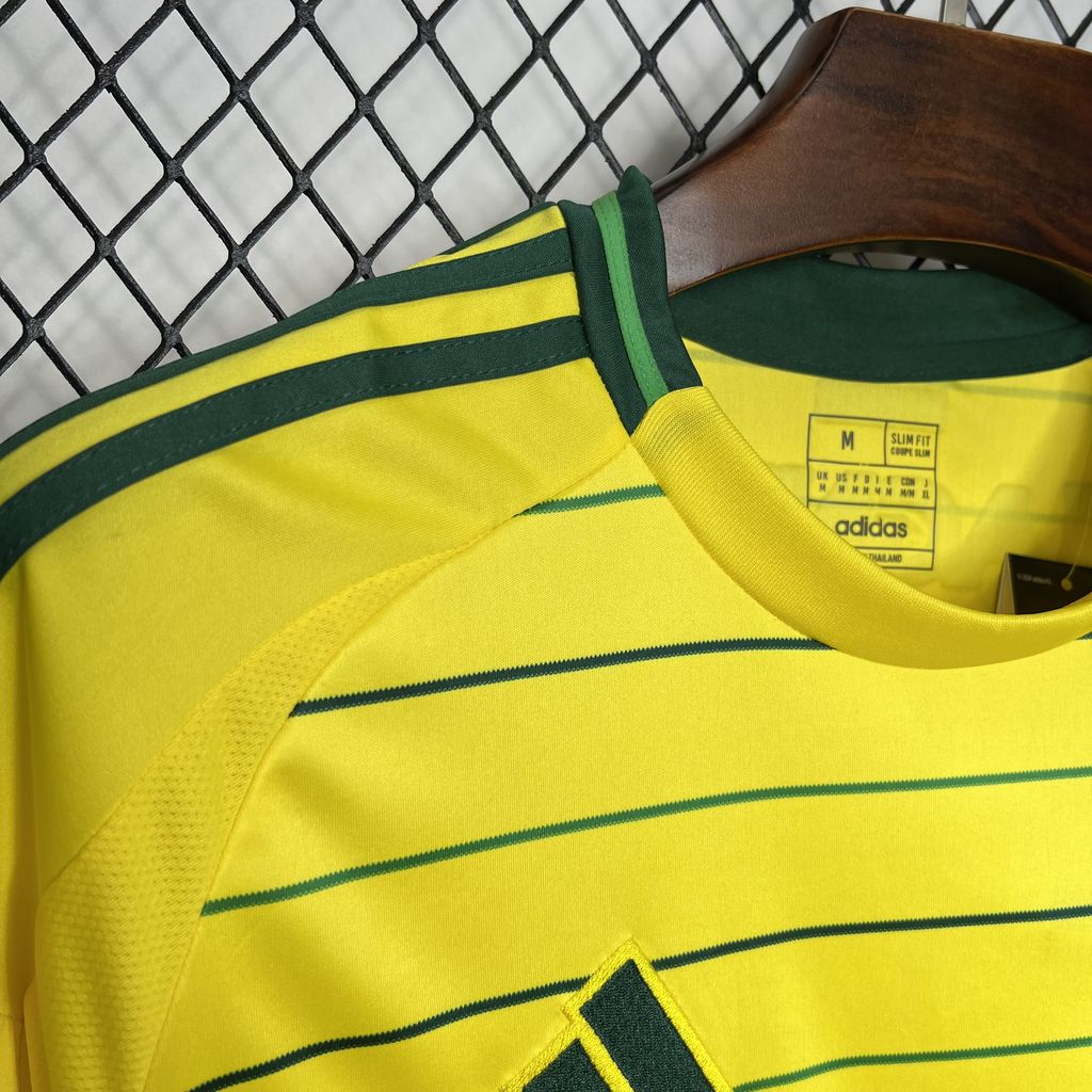 Camisa reserva do Celtic 2024/25