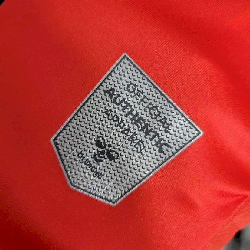 Men's Denmark 2023/24 Home Jersey