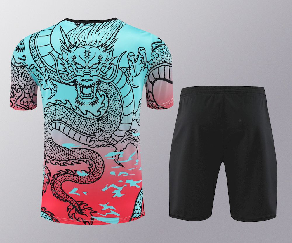 Camisa de treino adulto + shorts do Real Madrid 2023/24 418