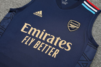 Camiseta regata e short adulto Arsenal 2023/24 418