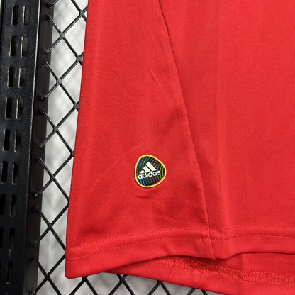 Camisa retrô da Espanha 2010