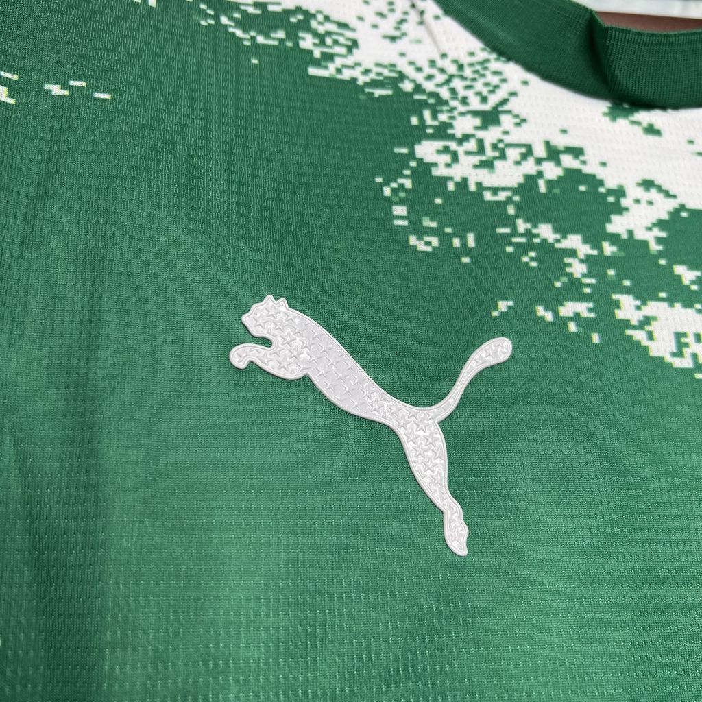 Camisa Palmeiras Edição Especial 2024/25 Verde e Branca