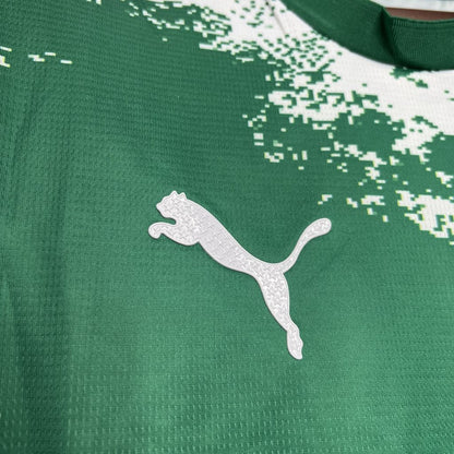 Camisa Palmeiras Edição Especial 2024/25 Verde e Branca