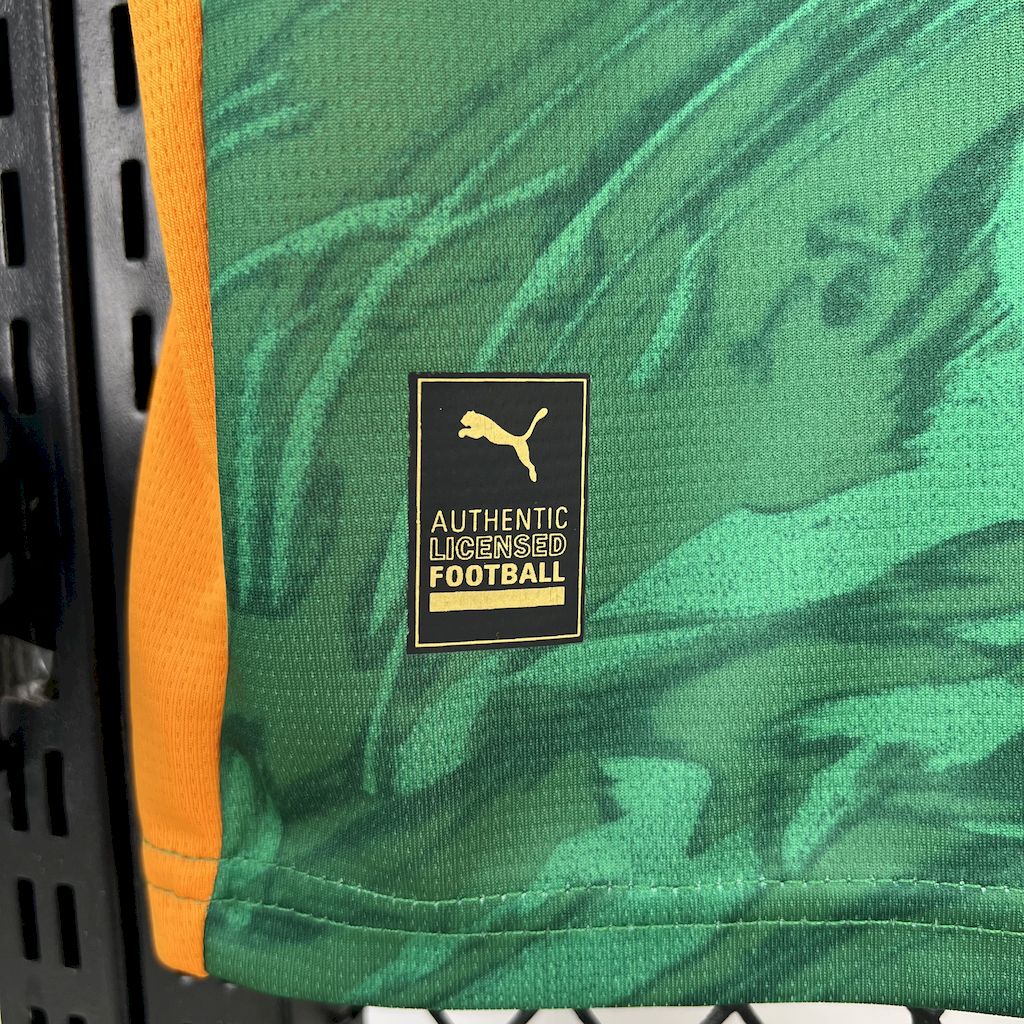Borussia Dortmund 2024/25 Goalkeeper Green Jersey