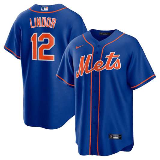 New York Mets Blue Fan