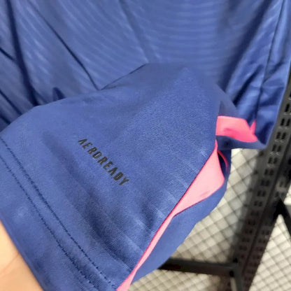 Camisa Suécia Euro 2024/25 Away
