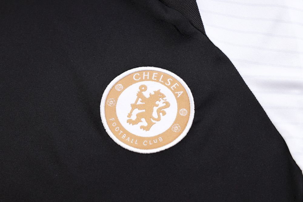 Camisa de treino adulto Chelsea 2023/24 + short 815