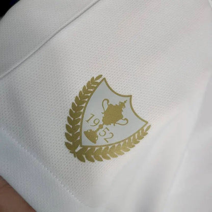 Men's Fluminense 2023/24 Away Boutique Jersey Gray