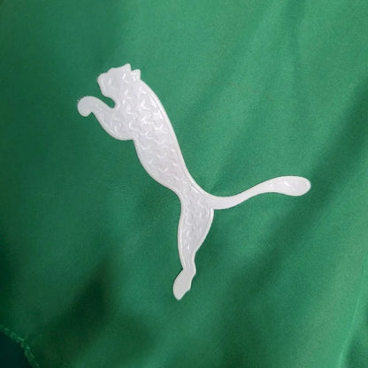 Blusão jogador do Palmeiras 2023-24