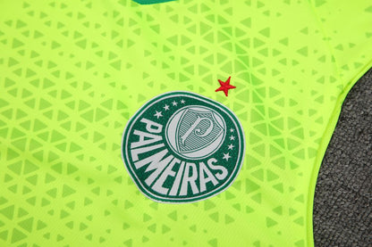 Palmeiras 2024/25 Regata Adulto+Curto 418