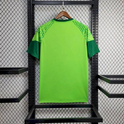 Camisa Pré-Jogo Palmeiras 2024/25