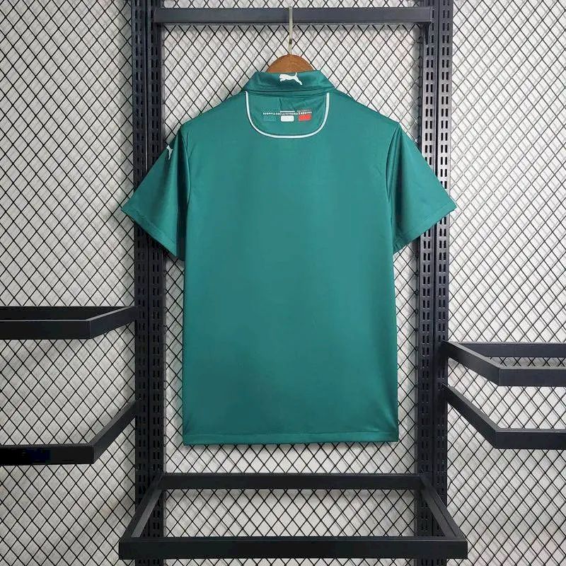 Men's Palmeiras 2023/24 Pre-Match Jersey Green