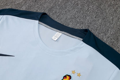 Camisa de treino adulto França 2024/25 + short 815